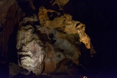 Kents Cavern Prehistoric Caves-8397